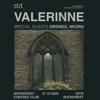 Valerinne și Ordinul Negru