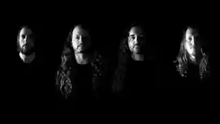 HAVOK