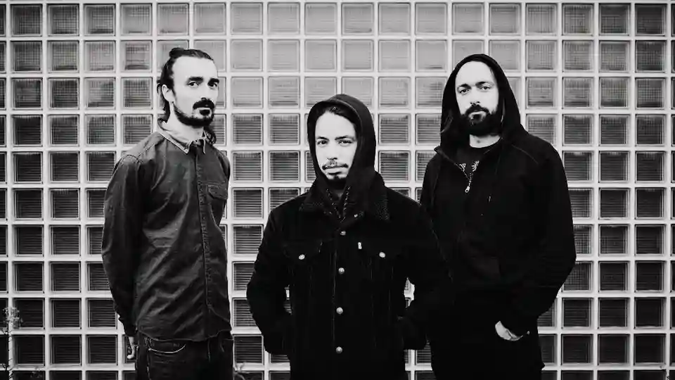 Evoluția casei de discuri Sub Pop: Dincolo de originile grunge