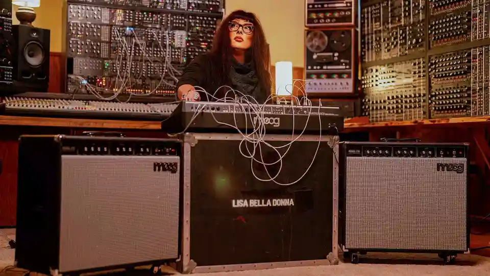 Moog lansează noile amplificatoare Model 112 și Model 210 pentru instrumente electronice