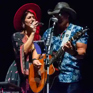 Willow Hill și catnip au susținut un concert în Mechelen