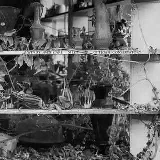 Windy & Carl colaborează cu Optigan Conservatory pentru un nou album