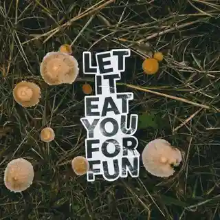 Let It Eat You For Fun lansează albumul post-rock Upon The Forest Floor