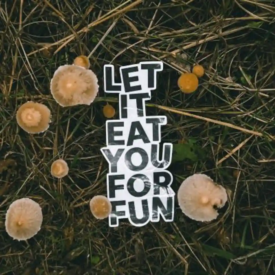 Let It Eat You For Fun lansează albumul post-rock Upon The Forest Floor
