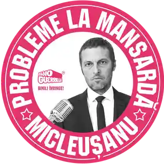 Interviu cu artistul Micleușanu despre proiectul Probleme La Mansardă