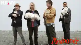 Mudhoney: Steve Turner despre supraviețuirea în scena grunge din Seattle