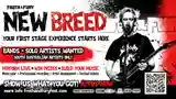 Froth & Fury - Froth & Fury Festival - Adelaide