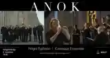 Högni Egilsson - Hallgrímskirkja - Reykjavik