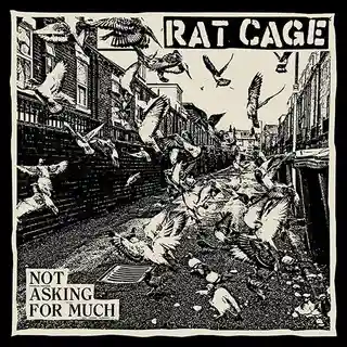 Rat Cage lansează noul album intitulat „Not Asking For Much”