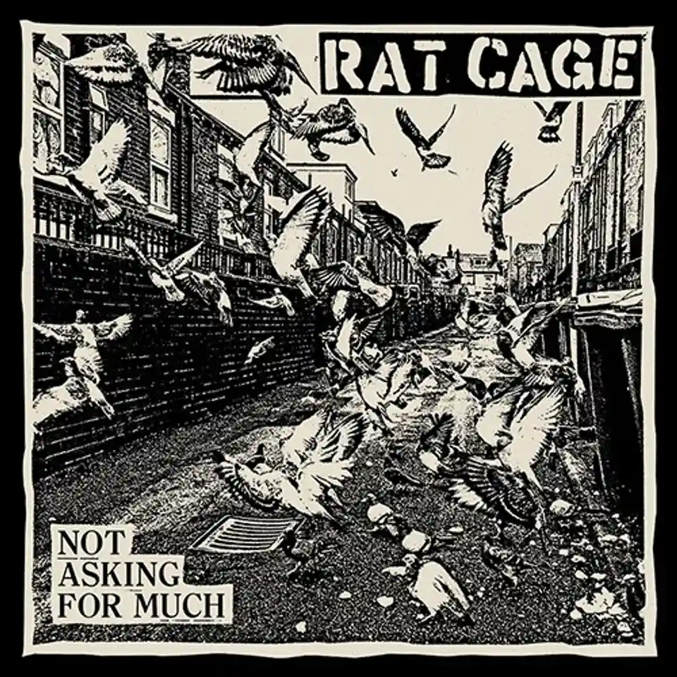 Rat Cage lansează noul album intitulat „Not Asking For Much”