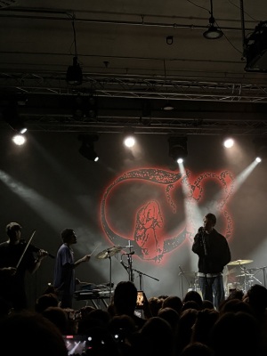 Recenzie pentru concertul trupei Chanel Beads la Berlin