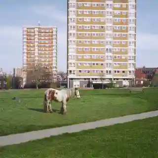 Albumul săptămânii: Westside Cowboy - It Goes On