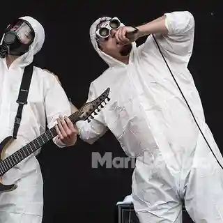 Experiența concertelor susținute de trupa Gutalax