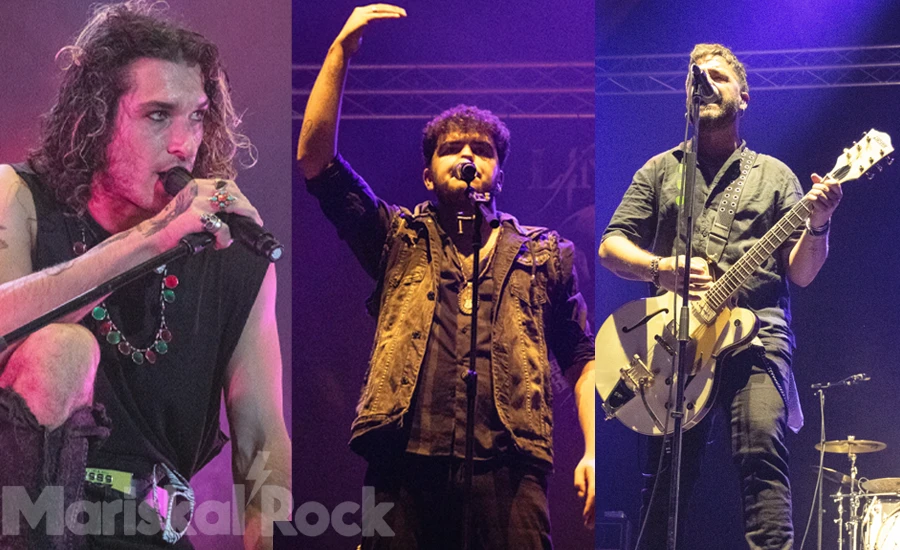 Cronica concertului Rock@rena din Pamplona cu Cobardes, Linaje și Ultraligera