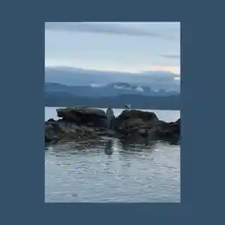 Mac DeMarco lansează patru albume noi ce explorează însemnări din arhivă
