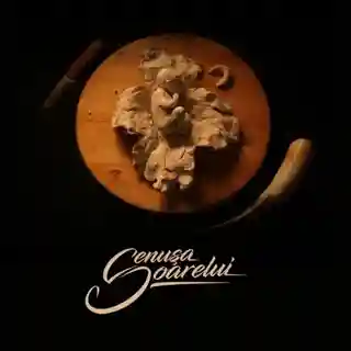 Trupa Cenușa Soarelui lansează albumul de debut omonim