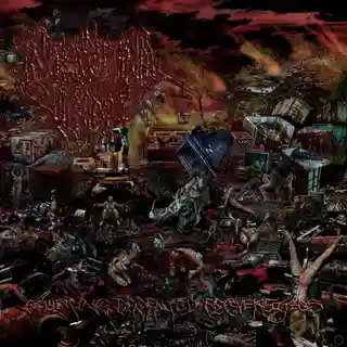 Intestinal Sodomy lansează albumul „Sculpting Demented Perversities”