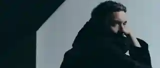 Bonobo