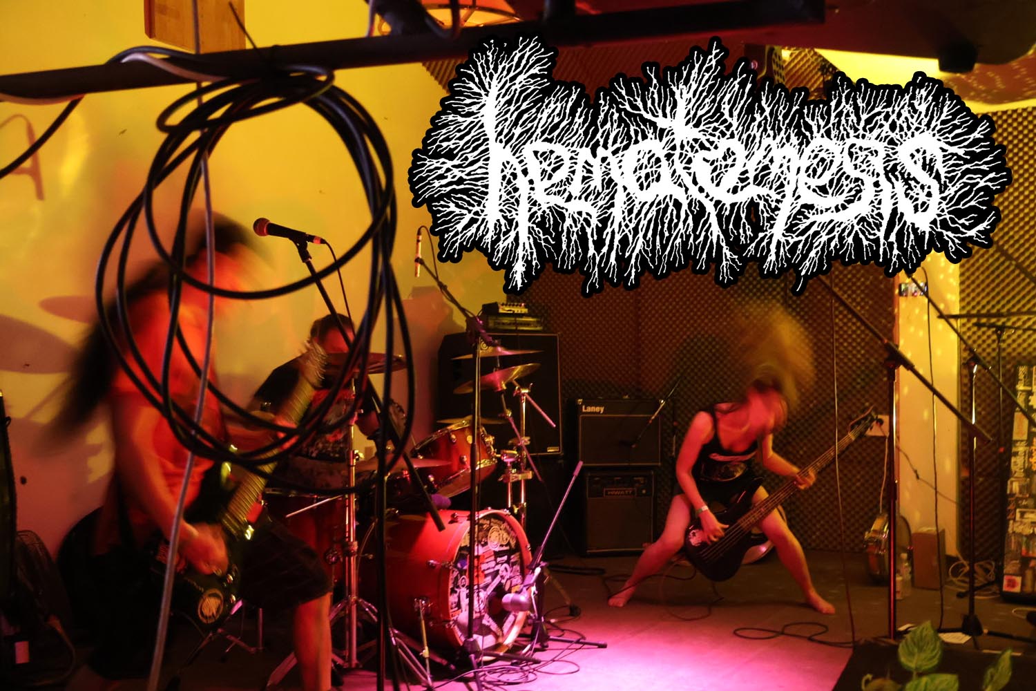 Trupa Hematemesis va concerta la festivalul Obscene Extreme