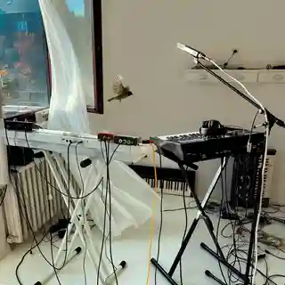 Carmen Burguess lansează single-ul „El Mar” și anunță albumul „Flores de Cuero”