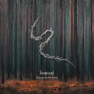Lunatic Soul lansează albumul „Through Shaded Woods”