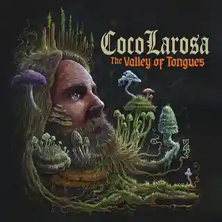 Recenzie pentru albumul de debut „The Valley Of Tongues“ al artistului CocoLarosa