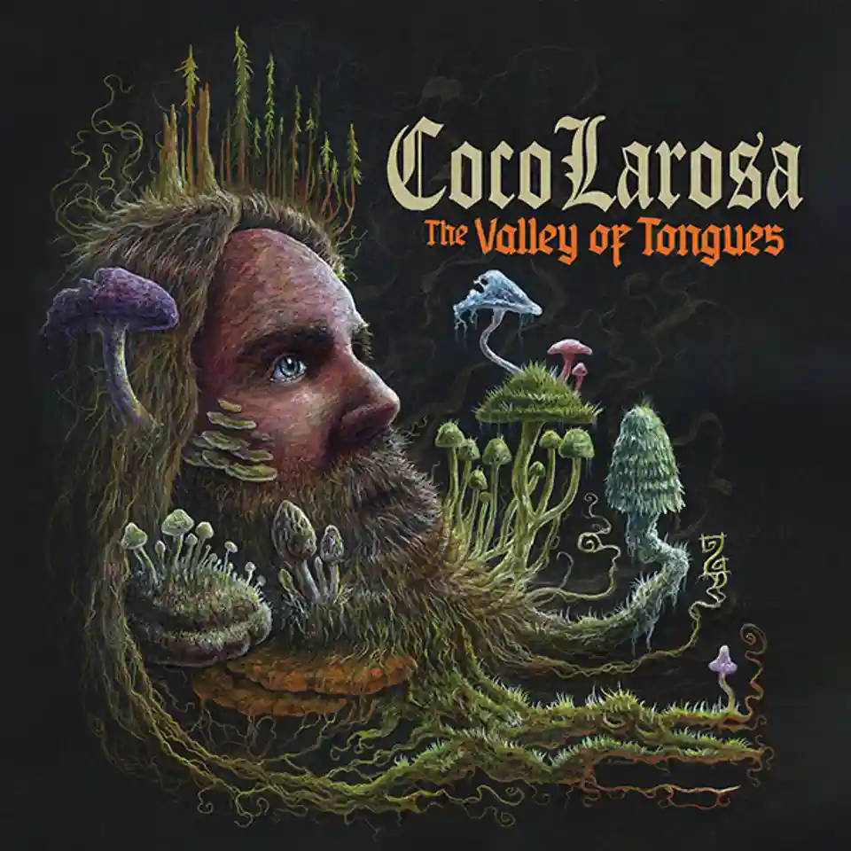 Recenzie pentru albumul de debut „The Valley Of Tongues“ al artistului CocoLarosa