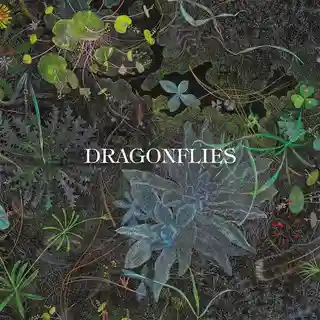 Recenzie: Albumul de debut al proiectului Dragonflies