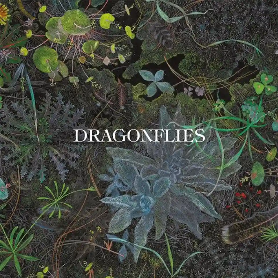 Recenzie: Albumul de debut al proiectului Dragonflies