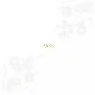 Analiza albumului instrumental „Cinders” lansat de Larkk