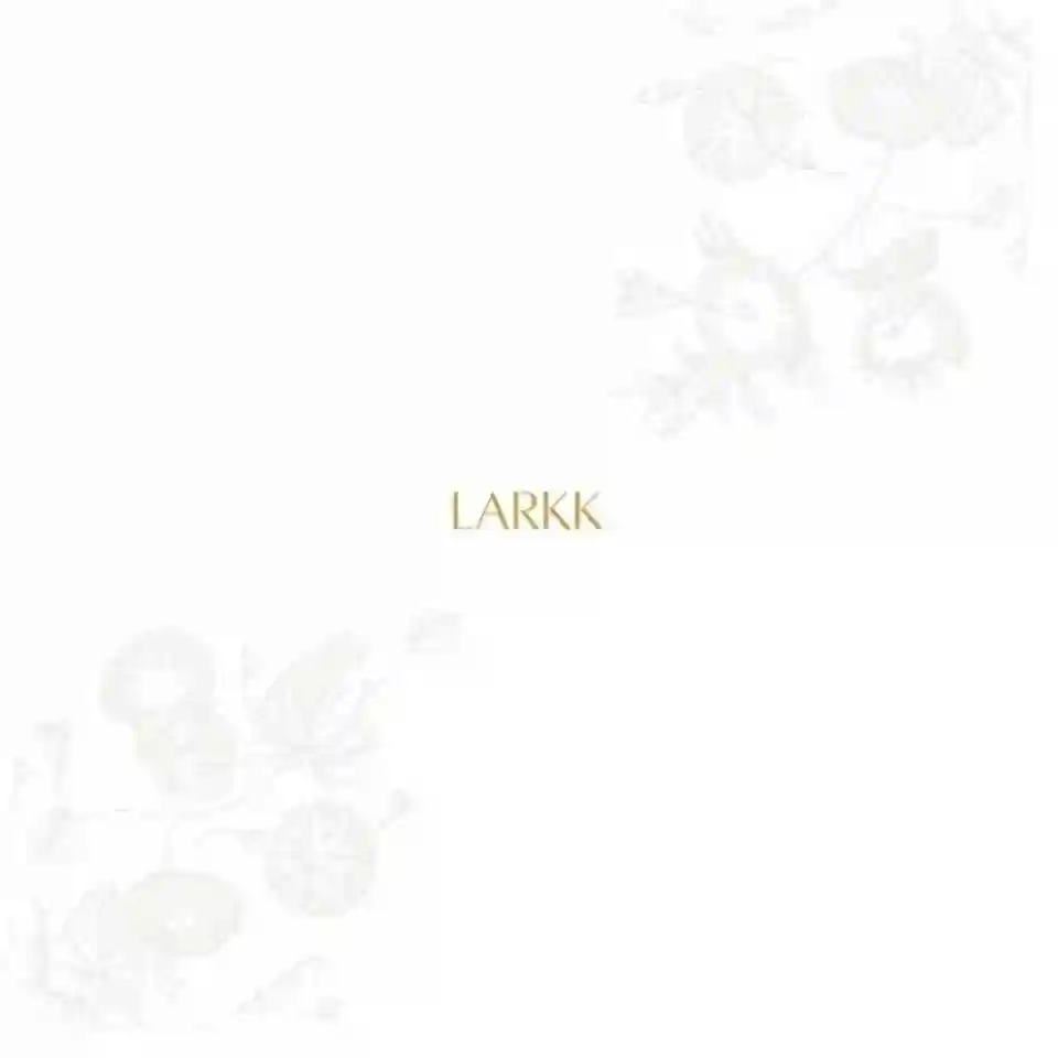Analiza albumului instrumental „Cinders” lansat de Larkk