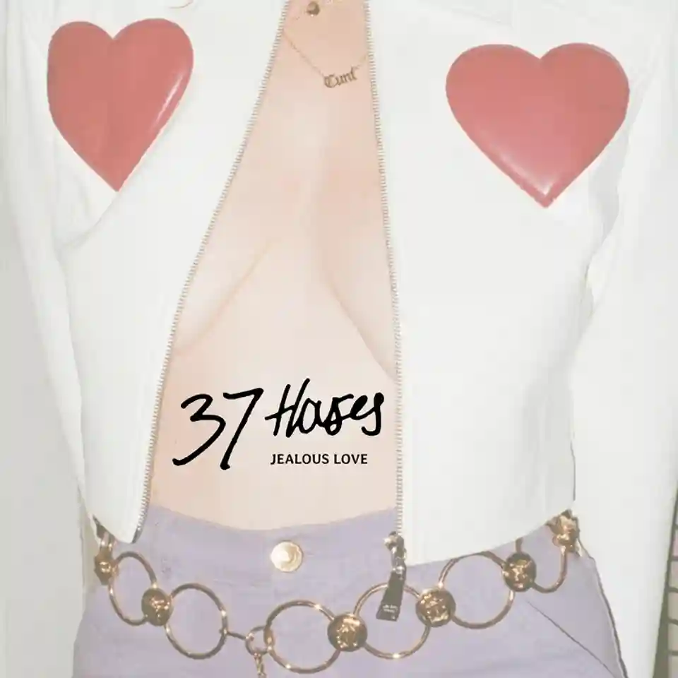 37 Houses lansează piesa „Jealous Love (Live)” și anunță EP-ul Live in Chicago