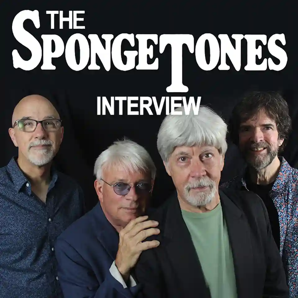 Interviu cu Steve Stoeckel și Jamie Hoover despre activitatea trupei The Spongetones