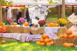Titan Pumpkin Fest - Parcul Titan - București