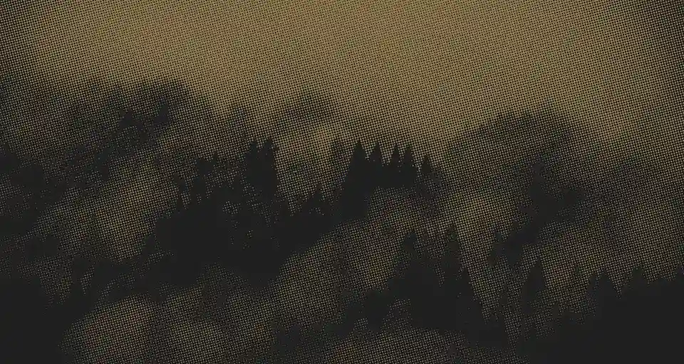 Cele mai bune albume de black metal ale anului 2026: Selecția Kvlt Kolvmn