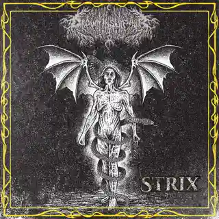 Drown In Sulphur lansează EP-ul „Strix” și un set live complet
