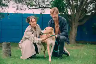 Festivalul caritabil Glastonfurry revine în septembrie cu o ediție extinsă
