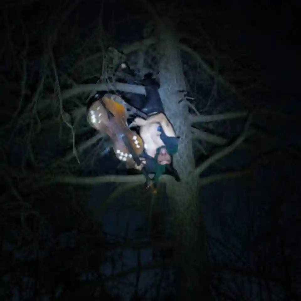 Recenzie album: Rushadicus - Night of the Jick Beast