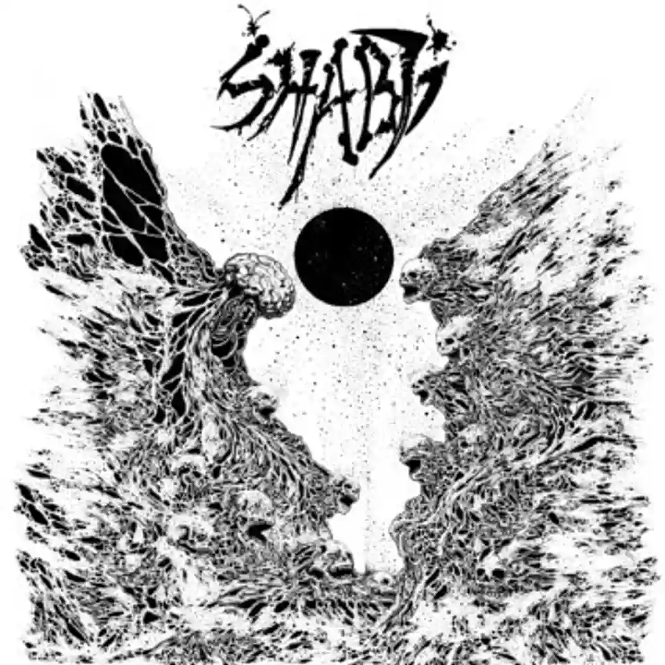 Recenzie: Haze, Cacophony, and White Light de la Shabti