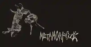 Piesa de teatru „Metamorfoză” cu muzică de grupul Effekts pe 29 octombrie