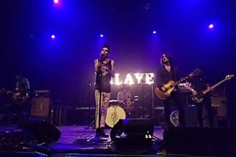O scurtă incursiune în istoricul și evoluția trupei Palaye Royale