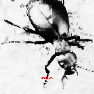 Milo Korbenski lansează single-ul „Roaches” și anunță noul album „Legs”
