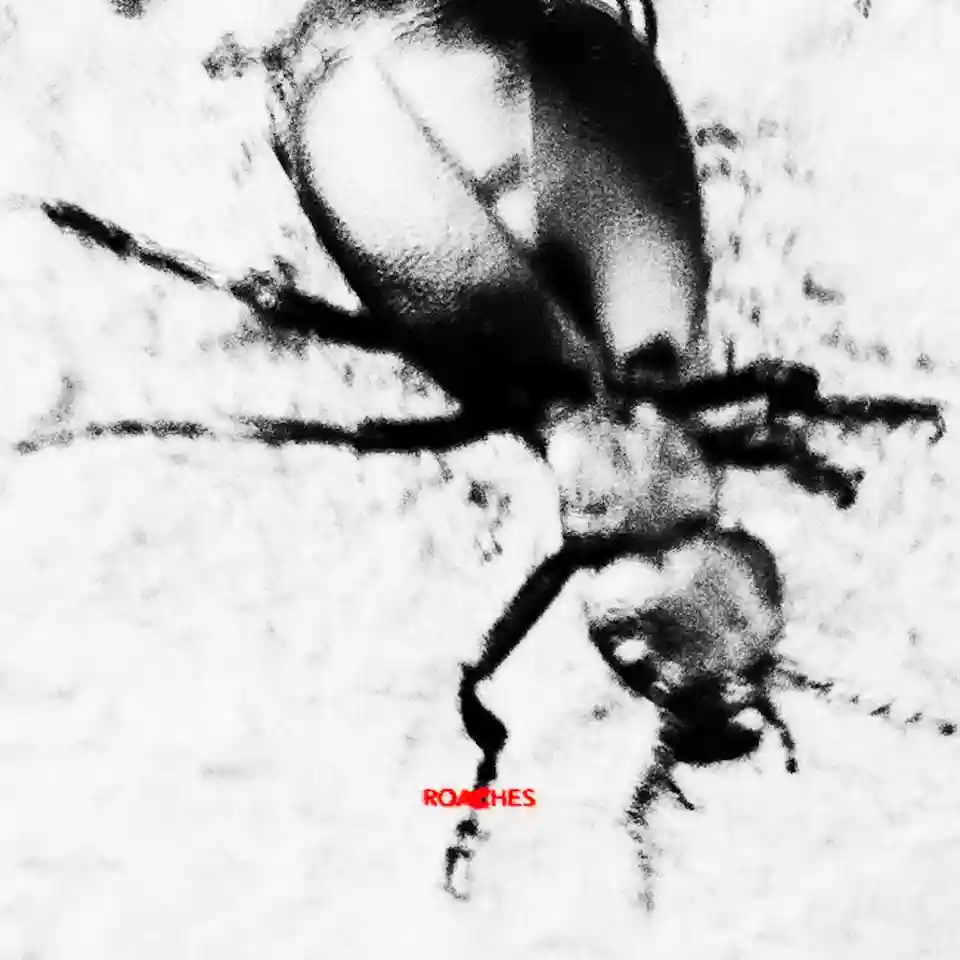 Milo Korbenski lansează single-ul „Roaches” și anunță noul album „Legs”