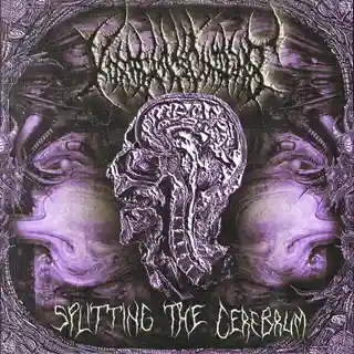 Voracious Contempt lansează single-ul Splitting the Cerebrum