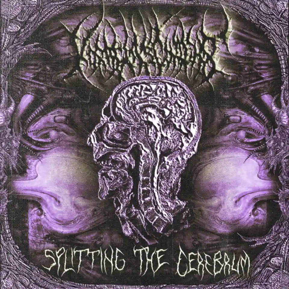 Voracious Contempt lansează single-ul Splitting the Cerebrum