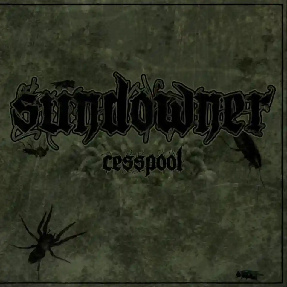 Trupa Sundowner a lansat albumul Cesspool