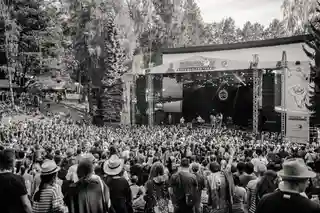 Informații despre camping și parcare la festival
