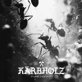 Recenzie: Albumul Sturm Zieh Auf lansat de trupa Kärbholz