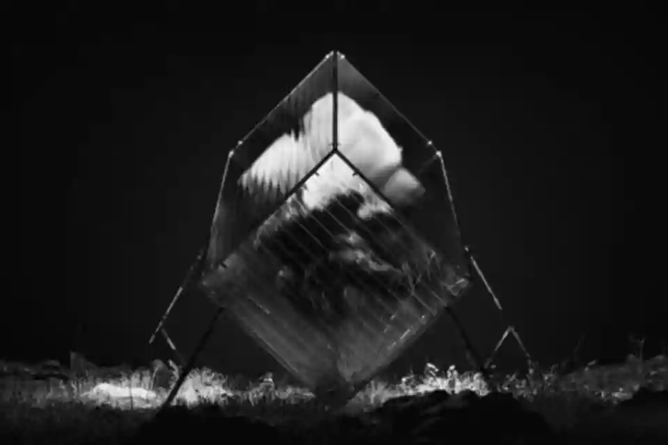 Playgrounded lansează albumul „A Flower To Water”