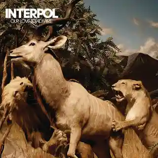 INTERPOL lansează albumul „This Mirror Weighs A Ton”